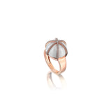 DOME RING
